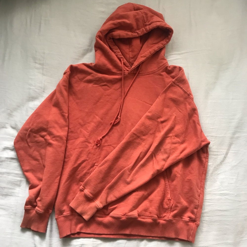 John Galt Brandy Melville Rust Hoodie/Sweater